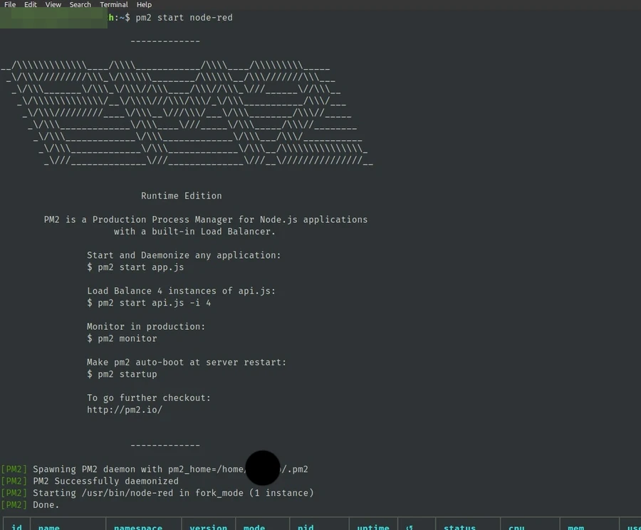 Tampilan jika perintah pm2 berhasil