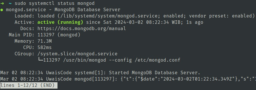 Output cek status mongodb